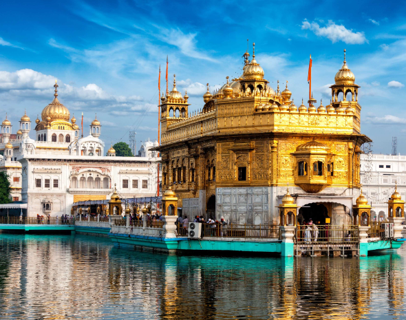 Bulk SMS services in Punjab