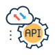Custom API Access